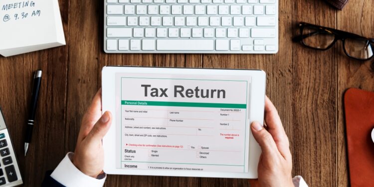 individual taxpayer