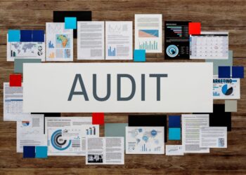 Tax audit